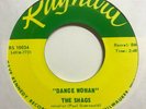 garage r&b rock 45 THE SHAGS Cause I Love You  RAYNARD listen