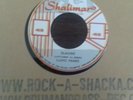 Lloyd Parks - Slaving (7