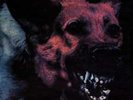 Protomartyr  - Under Color Of Official Right  (Vinyl)