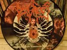 Dying Fetus? – Purification Through Violence, Pic LP
