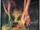 ECHO AND THE BUNNYMEN CROCODILES LP KOROVA UK 1980 EX CONDITION PRO CLEANED