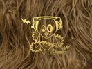 ID4z - SUPER FURRY ANIMALS - SUPER FURRY ANIMALS - vinyl LP4