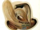 King Kurt Banana Banana shaped picture disc vinyl record UK PBUY206 STIFF 1984
