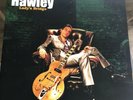 Richard Hawley - Ladys Bridge Vinyl, New (original pressing)