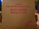 Alice Cooper -Muscle Of Love 12
