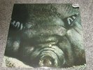 KIN PING MEH - No 2 - KRAUTROCK - NEW VINYL LP