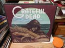 MFSL Grateful Dead Wake of the Flood Vintage Vinyl