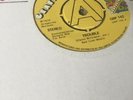 The Agents - Trouble / The Love I Hold - Grapevine Demo