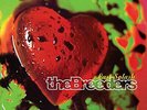 THE BREEDERS - LAST SPLASH