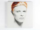 Various ?– The Man Who Fell To Earth 2LP 2CD Vinyl Book Box Set Bowie Near Mint