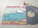 BENOIT WIDEMANN Tsunami RARE ORIGINAL 1979 FRENCH PROG SYNTH LP BALLON NOIR, M-