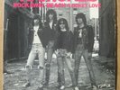 RAMONES  ROCKAWAY BEACH / LOCKET LOVE  Original SIRE US 1977 Picture Sleeve nm