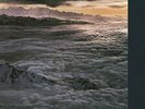 SANTANA - MOONFLOWER (IMPORT) NEW VINYL