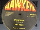 Desi Roots ?– Weedfields Reggae 12”