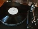 TMG (Ted Mulry Gang) FESTIVAL RADIO SPECIAL for TMG LP MX46631