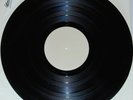 Flamin' Groovies-Now-1978 LP-Mint Vinyl-Sire SRK 7059-White Label Test Pressing