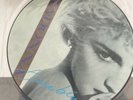 Madonna True Blue Picture Disc