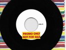 HOT BOOGIE CHILLUN - BLACK CAT'S BONE 45rpm (TEST PRESSING) Only 6 ever made