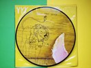 Yeah Yeah Yeahs - 7