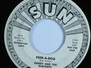 Garage 45 RANDY AND THE RADIANTS Peek-A-Boo SUN promo HEAR *