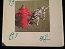 Rush Band Signed Signals / Autographed Album / Record / LP (Peart, Lifeson, Lee)