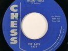 THE RAYS Second Fiddle Chess R&B Doo Wop 45 HEAR