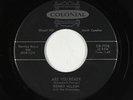 Rockabilly 45 - Henry Wilson & the Bluenotes - Are You Ready - Colonial VG++ mp3