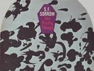 The Pretty Things-