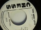 RARE BLUES 45 - Muddy Waters on Chess 1839 - DJ COPY S VG+ J