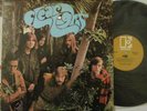 CLEAR LIGHT Self-titled Debut LP STEREO Elektra 1967-PSYCH ROCK