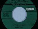 Rockabilly 45 BENNY JOY Little Red Book ANTLER DJ41X45 VG++/VG+ HEAR *
