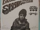 Bruce Springsteen - Roxy In Stereo - Colored Vinyl LP - Not TMOQ TAKRL WIZARDO