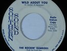 Garage Mod 45 ROCKIN' RAMRODS Wild About You SOUTHERN VG+ promo HEAR *