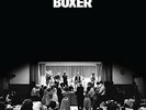 National - Boxer - LP Vinyl - New