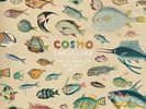 Cosmo Sheldrake - Much Much How How and I