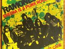 RAMONES  Sheena is a Punk Rocker 7