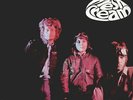 Cream - Fresh Cream