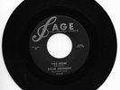 ROME JOHNSON-SAGE 110 RARE ROCKABILLY 45 RPM WILD DESIRE/TRUCK DRIVER BLUES VG++