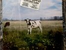 PINK FLOYD Dark Side of the Moo LP Near-MINT w/Hype Sticker Shrink RARE