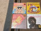 Stone tribute to Jimi Hendrix are you experienced electric ladyland vinyl record