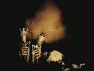 Pearl Jam - Riot Act - (DOUBLE VINYL) **USED**
