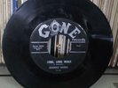 Johnny Rivers Rockabilly 45 