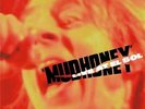 Mudhoney - Live At El Sol RARE OOP Original 2009 Munster Double Vinyl 2LP (New )