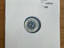 Electric Frankenstein - How To Make A Monster Vinyl Test Press White Label 2019