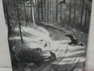1Burzum1 Hvis Lyset Tar Oss LP Vinyl Record new