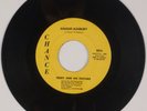 TEDDY AND HIS PATCHES: Haight Ashbury US Chance Orig Garage Psych 45 HEAR