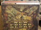 New Found Glory Not without a Fight Grey Vinyl Gatefold Cover