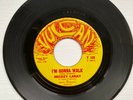 Northern Soul, R&an, Mickey Lanay, I’m Gonna Walk, Forget Yesterday