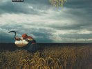 Depeche Mode ?– A Broken Frame  (LP)