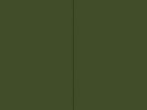 John Cage : Variations on Mushrooms: a Mycological Foray by John Cage (2020,...